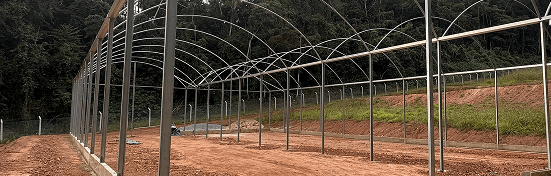 Foto representando a fundação da Cannabreed Brasil em 2021 na UFV