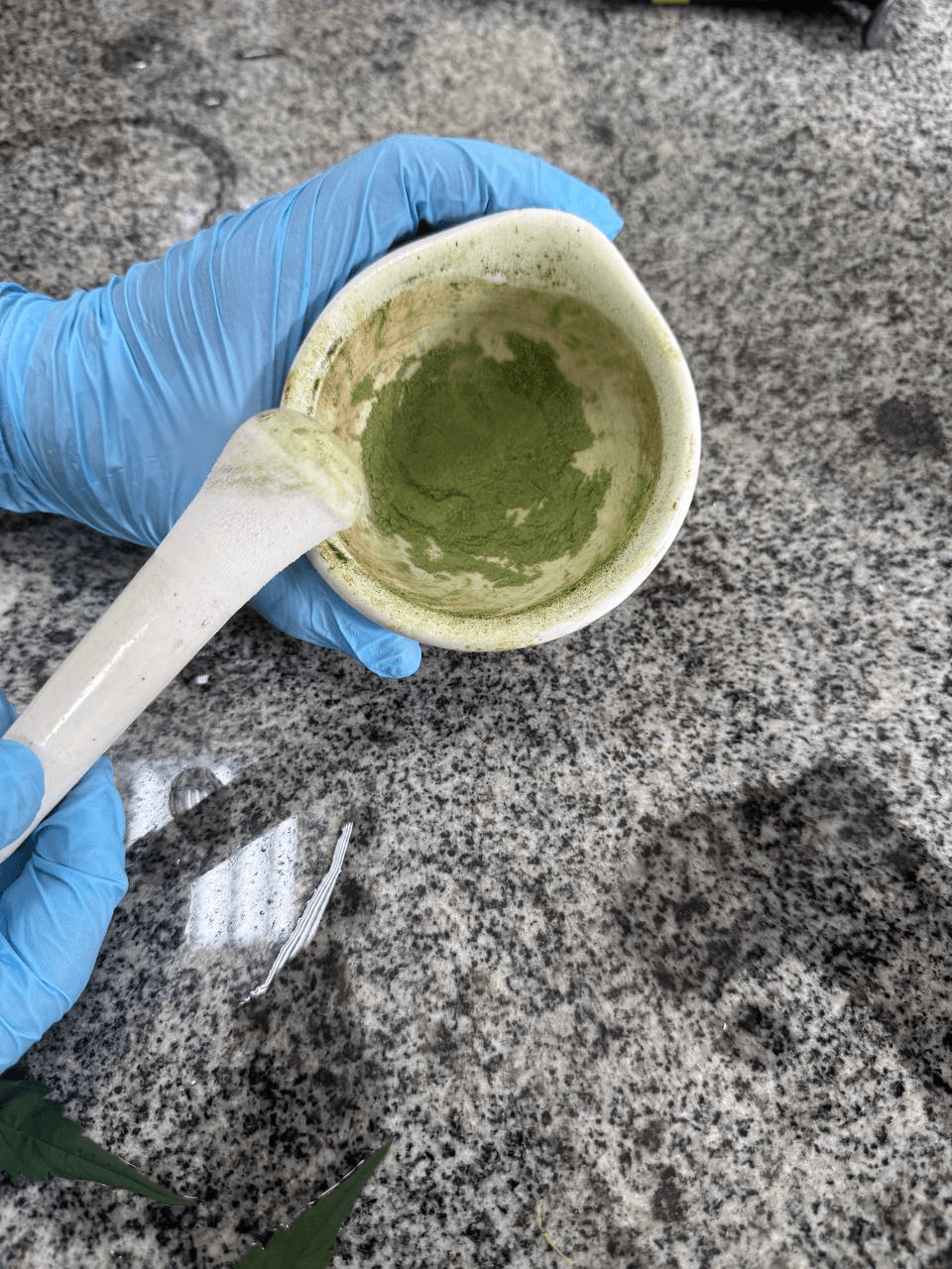 Mão com luva azul triturando material vegetal verde em um almofariz com pistilo de porcelana