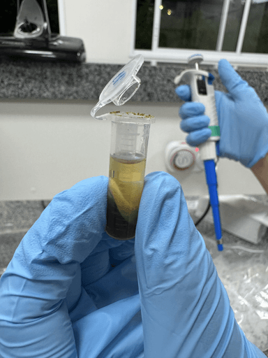 Segundo banco de germoplasma implantado na UFRPE no Nordeste